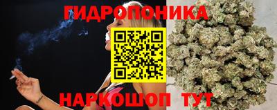 индика Наро-Фоминск