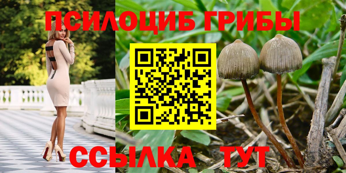 Феодосия  Псилоцибиновые грибы Psilocybine cubensis  Вход с VPN 