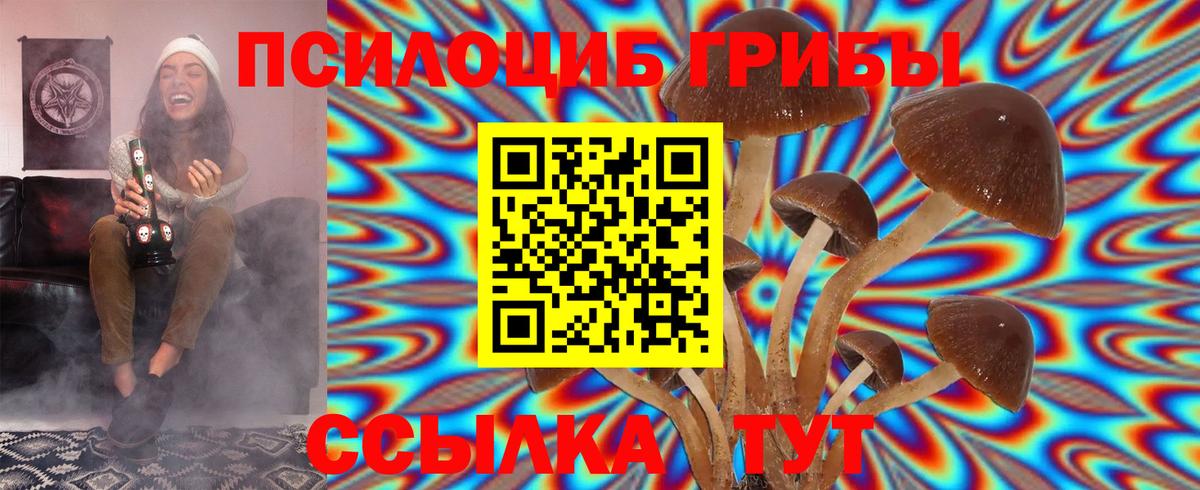 Псилоцибиновые грибы Psilocybine cubensis Феодосия